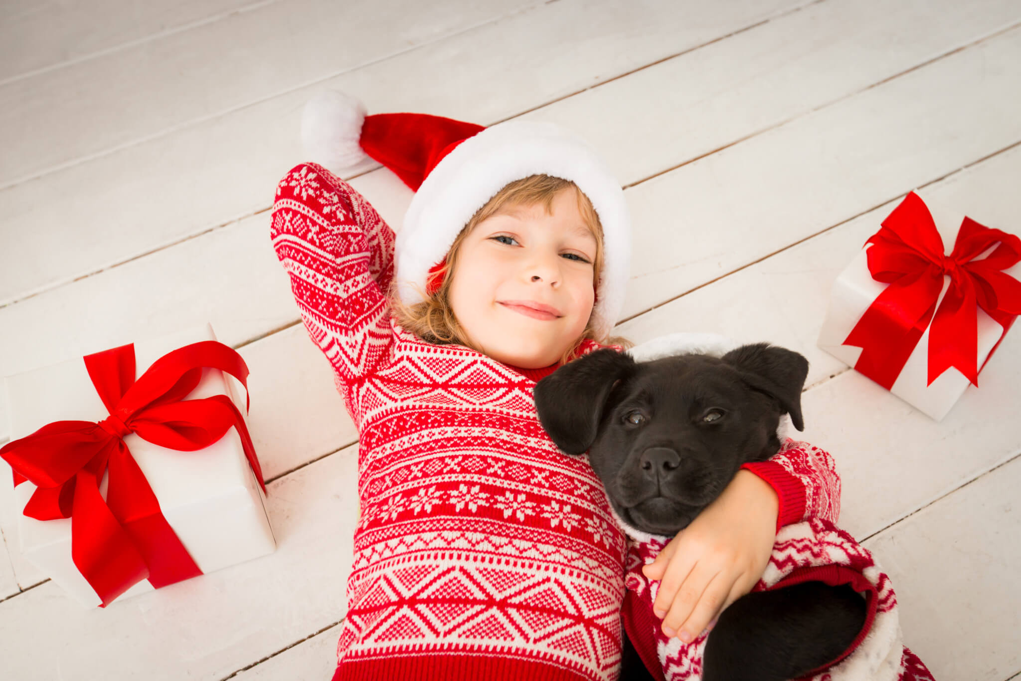 Child and dog in Christmas
